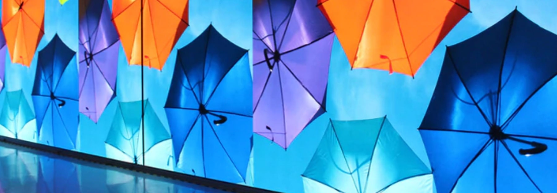 Choosing a Display Screen suitable for your business.